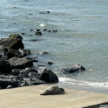 Luxueus&nieuw 2-slaapkamerappartement Met Garage Appartement *