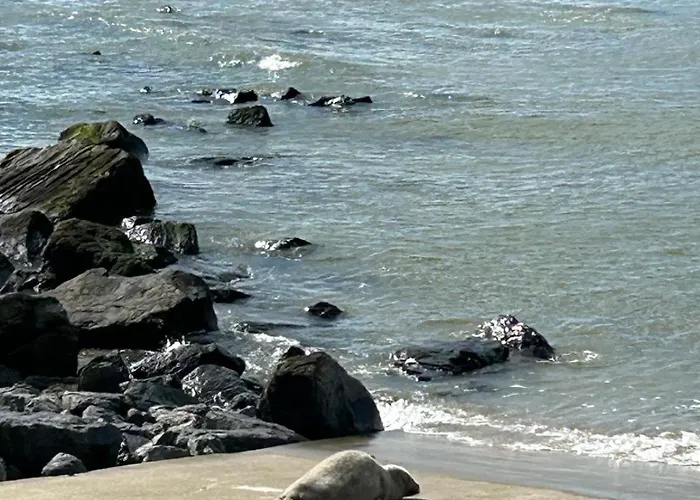 Luxueus&nieuw 2-slaapkamerappartement Met Garage Appartement *